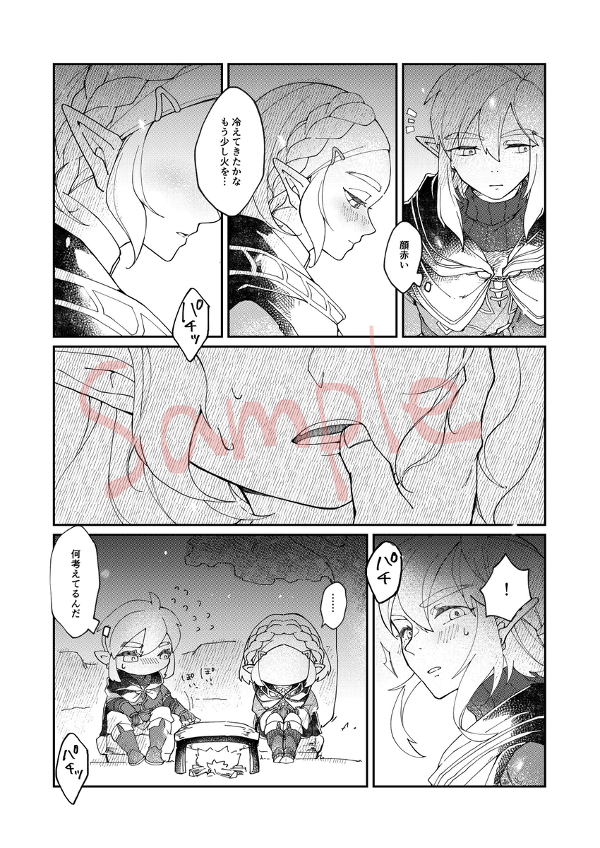 [ chloroplast] EXPECTING[The Legend of Zelda) - Page 3