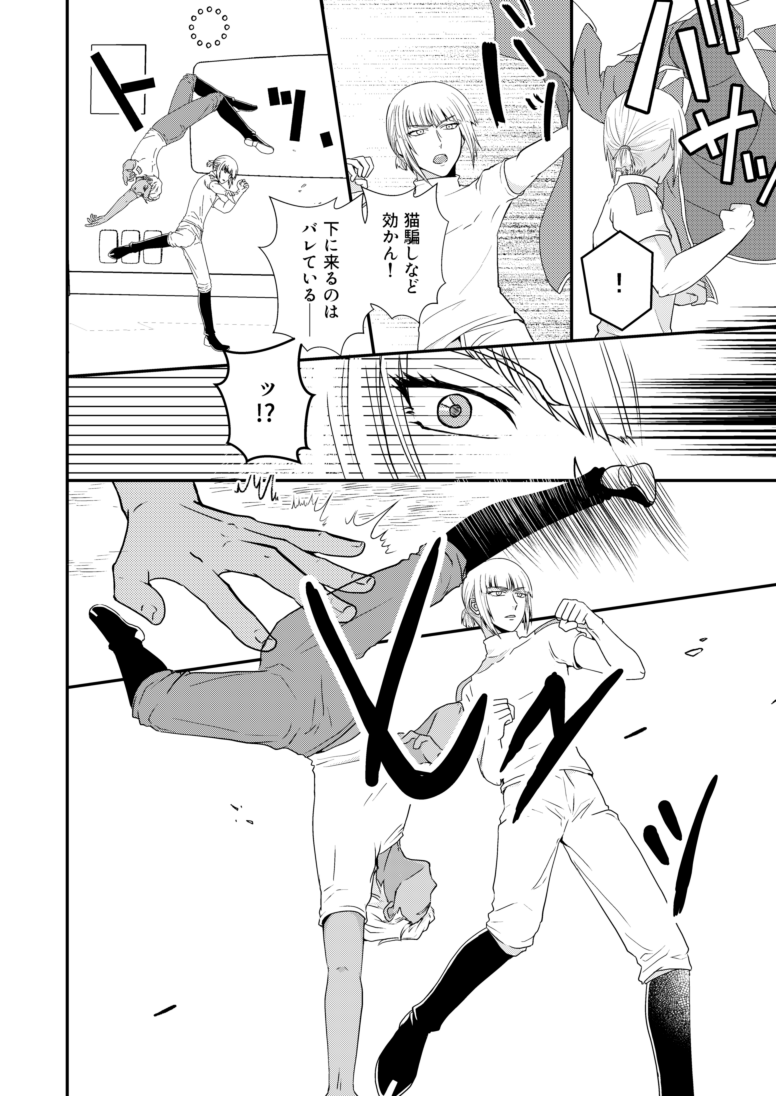 [SFZR (天月ナオ)] Hiyoku no Tori, Renri no Kizuna (Gundam SEED DESTINY) [Digital] - Page 15