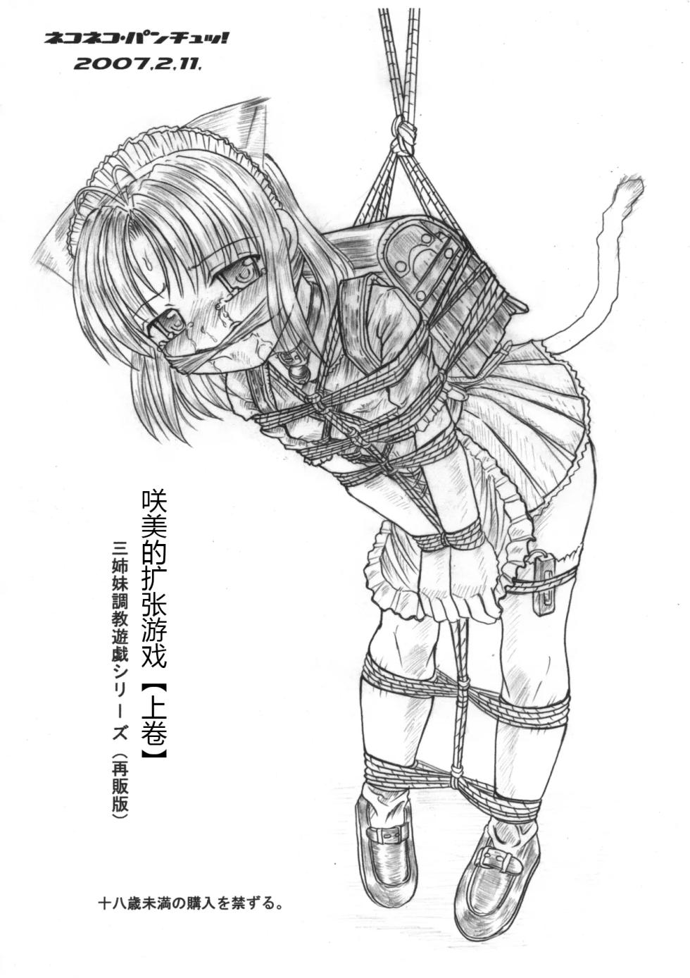 [ネコネコ・パンチュッ! ] (ねこねこぱんちゅっ) さくみの拡張遊戯 上巻[chinese][有条色狼汉化] - Page 28