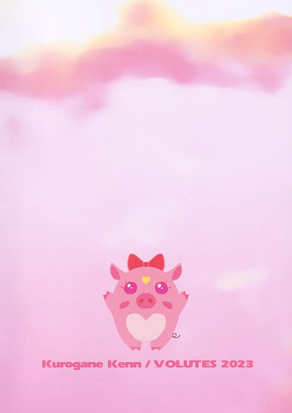 (C102) [VOLUTES (Kurogane Kenn)] Looking for the Rainbow (Hirogaru Sky! Precure) - Page 2
