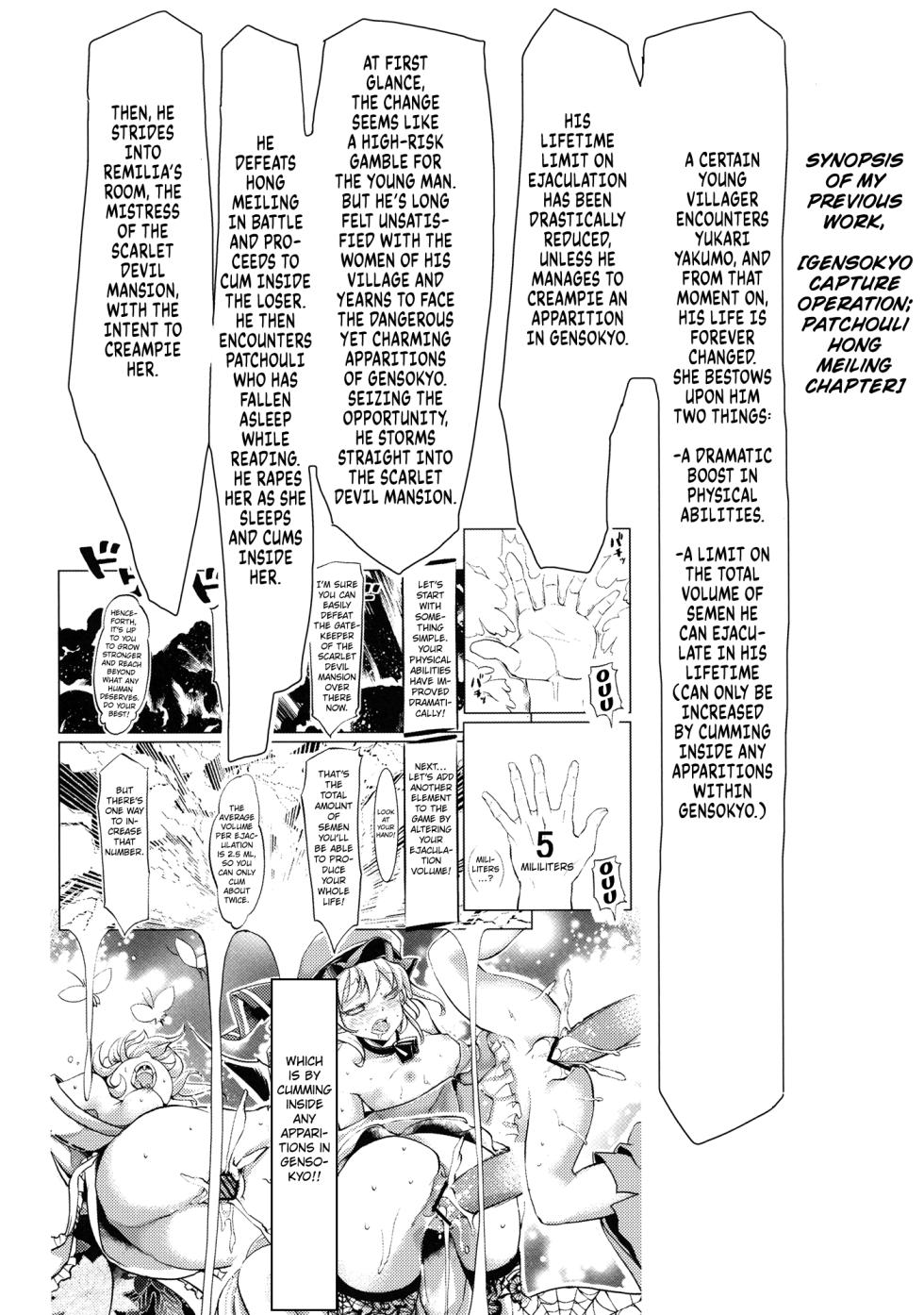 (Reitaisai 10) [Senkou Campanella (Haruhina Murasaki)] Gensoukyou Kouryaku Sakusen - Sakuya, Remilia, Flandre [English] [Kuraudo] - Page 3