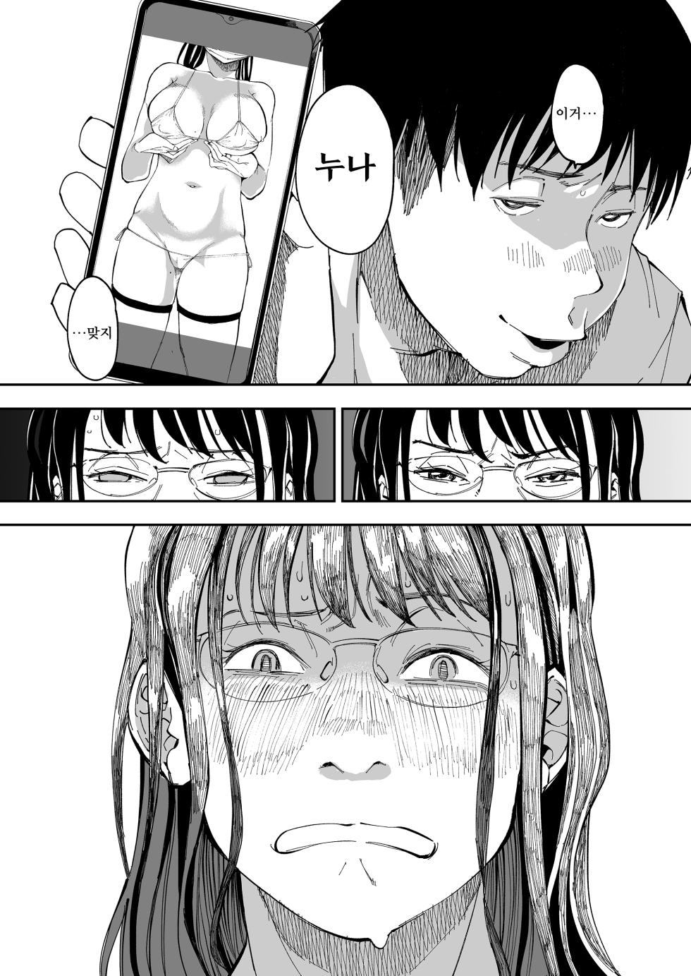 [Misaki (Ruriiro Sugar)] Aneki no Ero Aka Mitsuketara | 누나의 야한 뒷계정을 찾아내면 [Korean] - Page 11