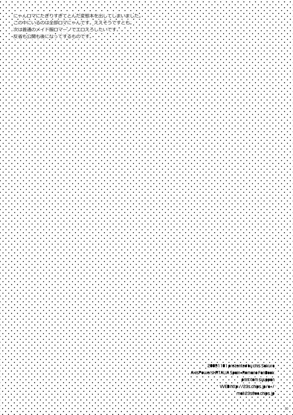 [chis (Sakura)] Koneko to Issho (Hetalia: Axis Powers) - Page 29