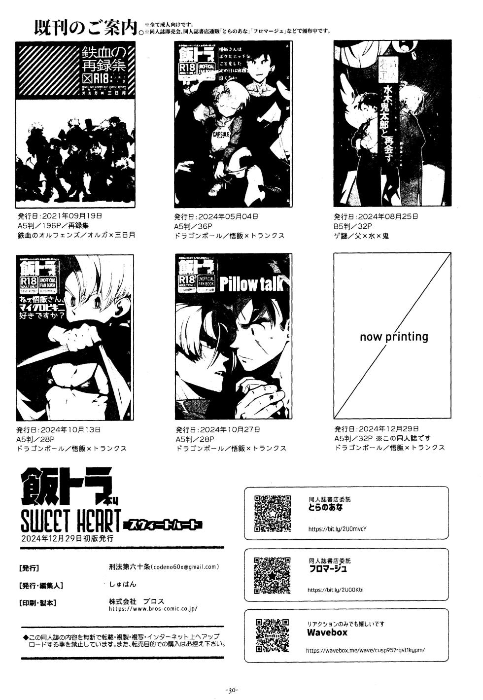 [Article 60 of Criminal Code (Shuhan)] Sweet Heart (Dragon Ball Z)[中国翻訳] - Page 29