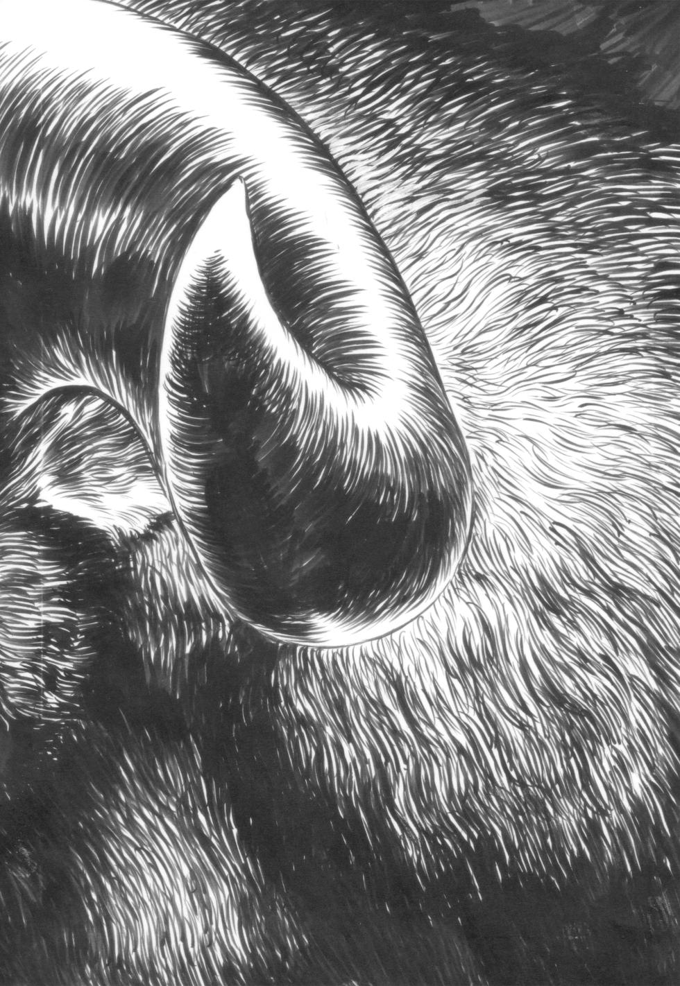 THE ARTWORK OF BERSERK - [collector] - Page 23