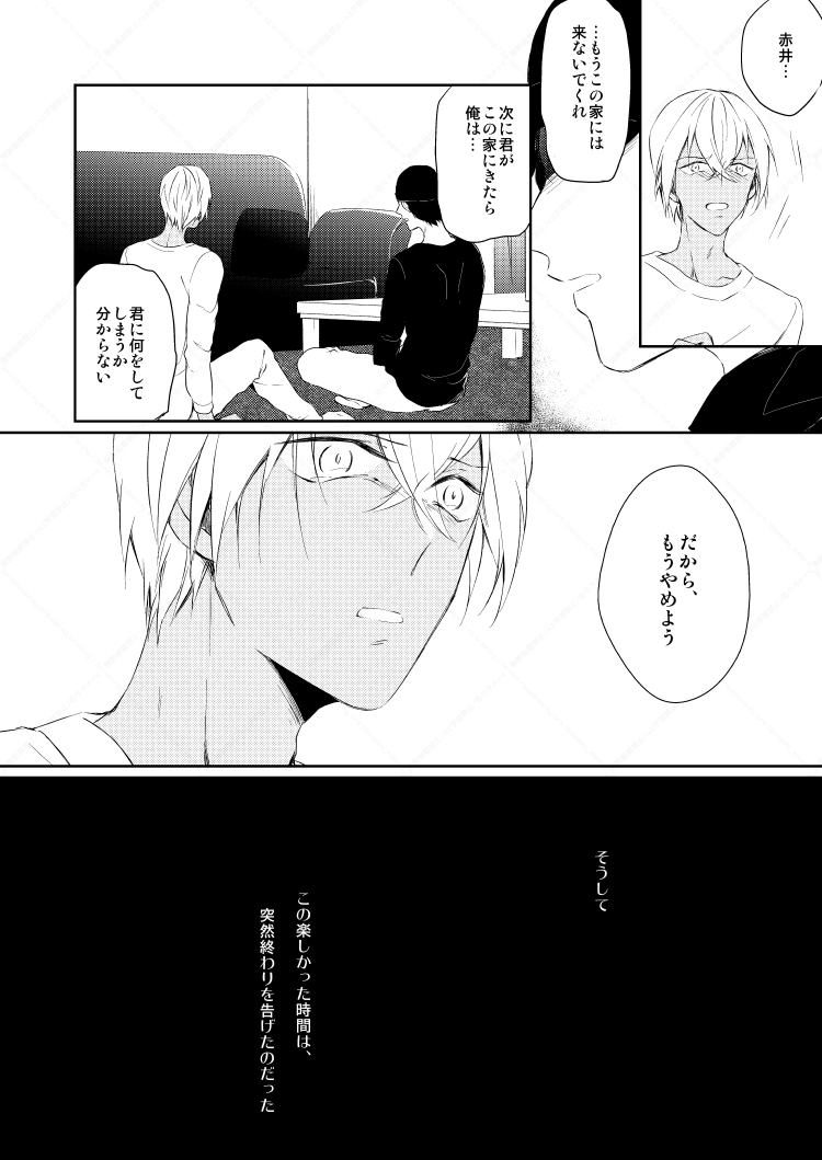 [Gatekeeper (Sasaki Kisara)] Drink×Drink (Detective Conan) [Digital] - Page 18