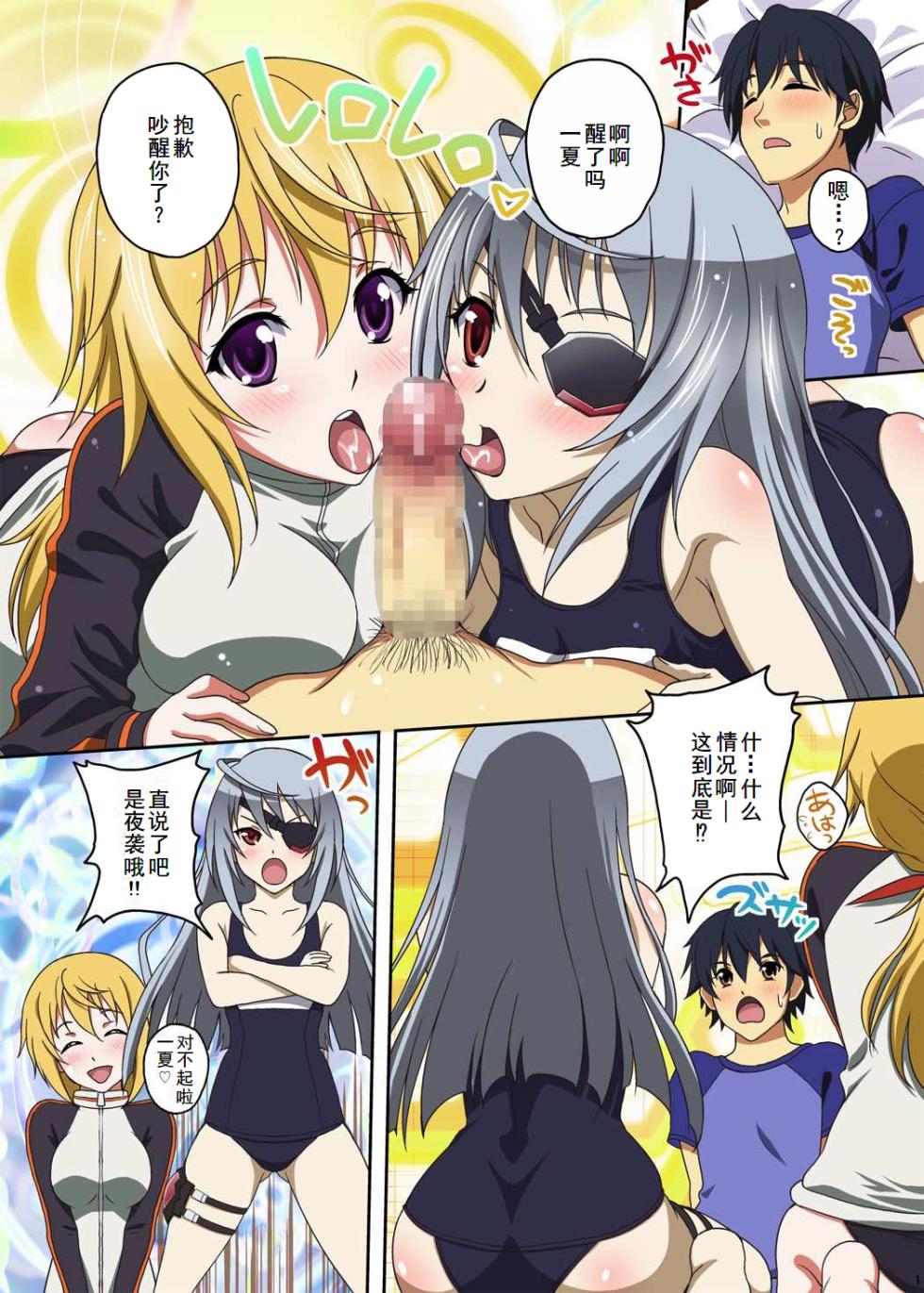 (C80) [Studio Aruta (Kusui Aruta)] IS no Hon (Kari) (IS <Infinite Stratos>) [Chinese] [廉价汉化组] - Page 3
