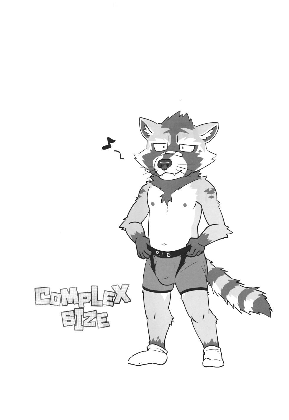 (Kemoket 11) (肉锅) COMPLEX SIZE [Chinese] [酥米饼汉化] - Page 3