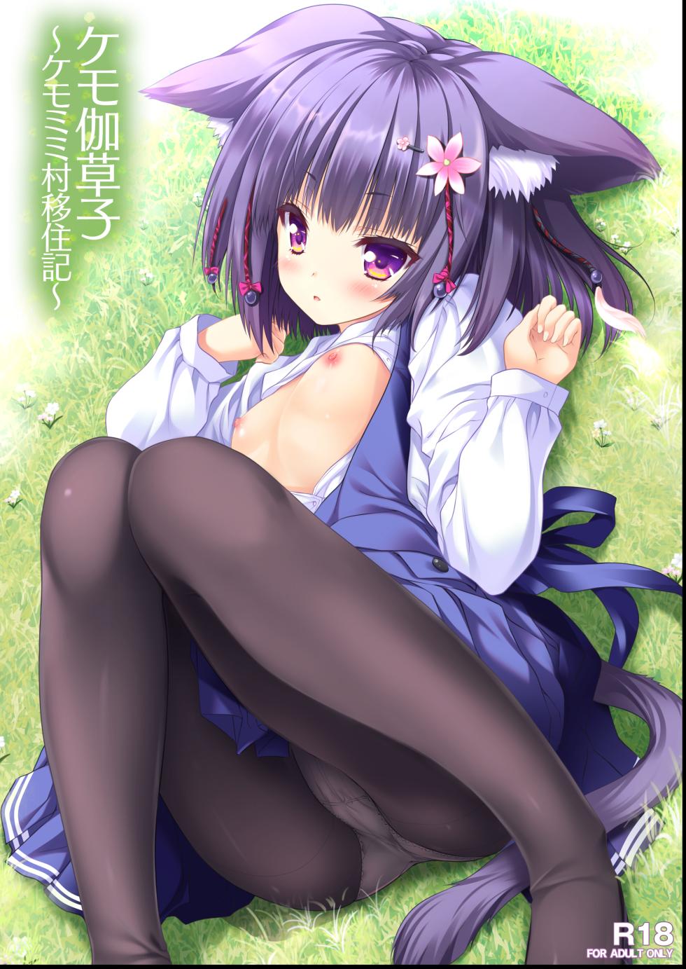 [ZiP (Moekibara Fumitake)] Kemo Otogizoushi ~Kemomimi Mura Ijuuki~ [Digital] - Page 1