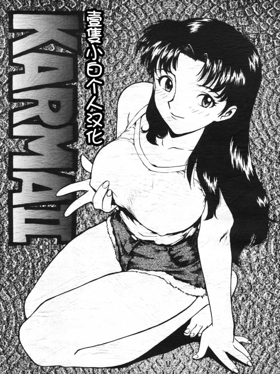 [Karmaya (Karma Tatsurou)] Karma II (Neon Genesis Evangelion) [Chinese] [壹隻小白个人汉化] - Page 1