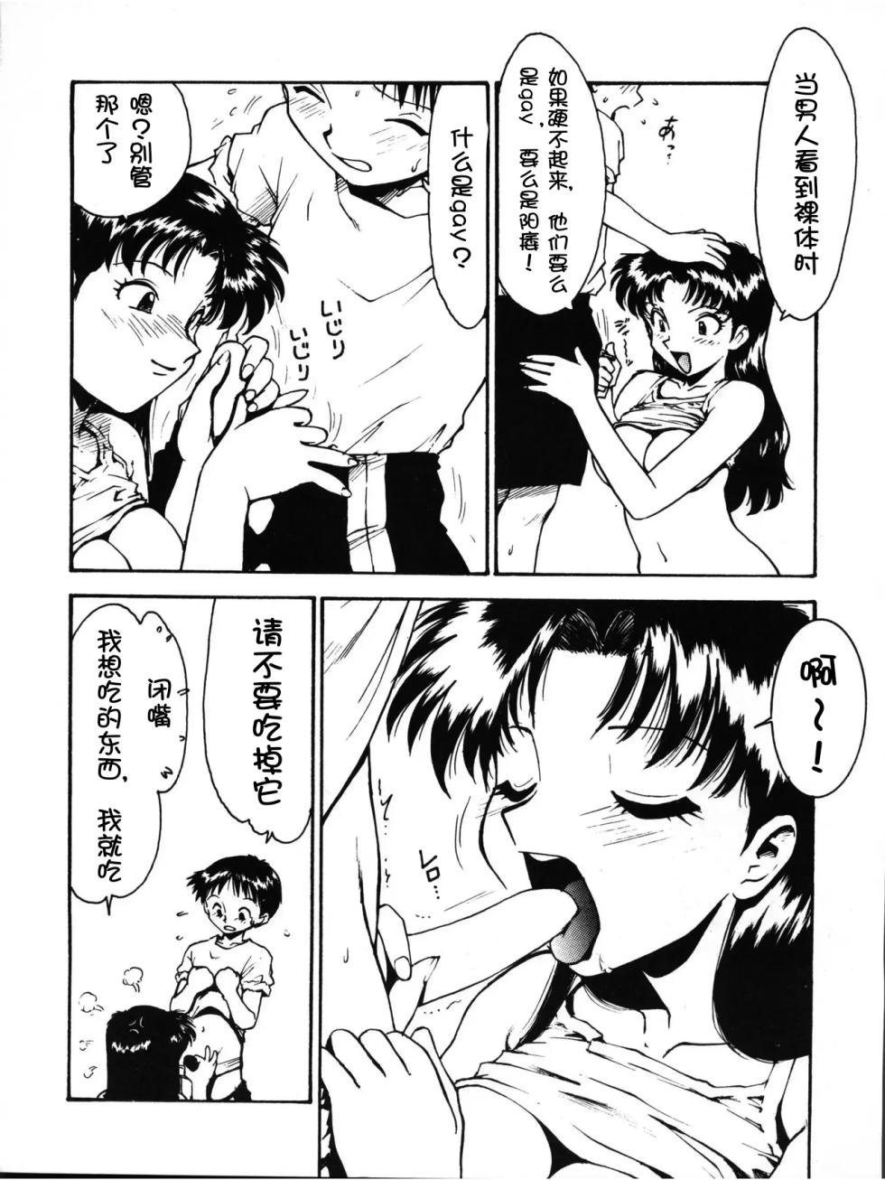 [Karmaya (Karma Tatsurou)] Karma II (Neon Genesis Evangelion) [Chinese] [壹隻小白个人汉化] - Page 5