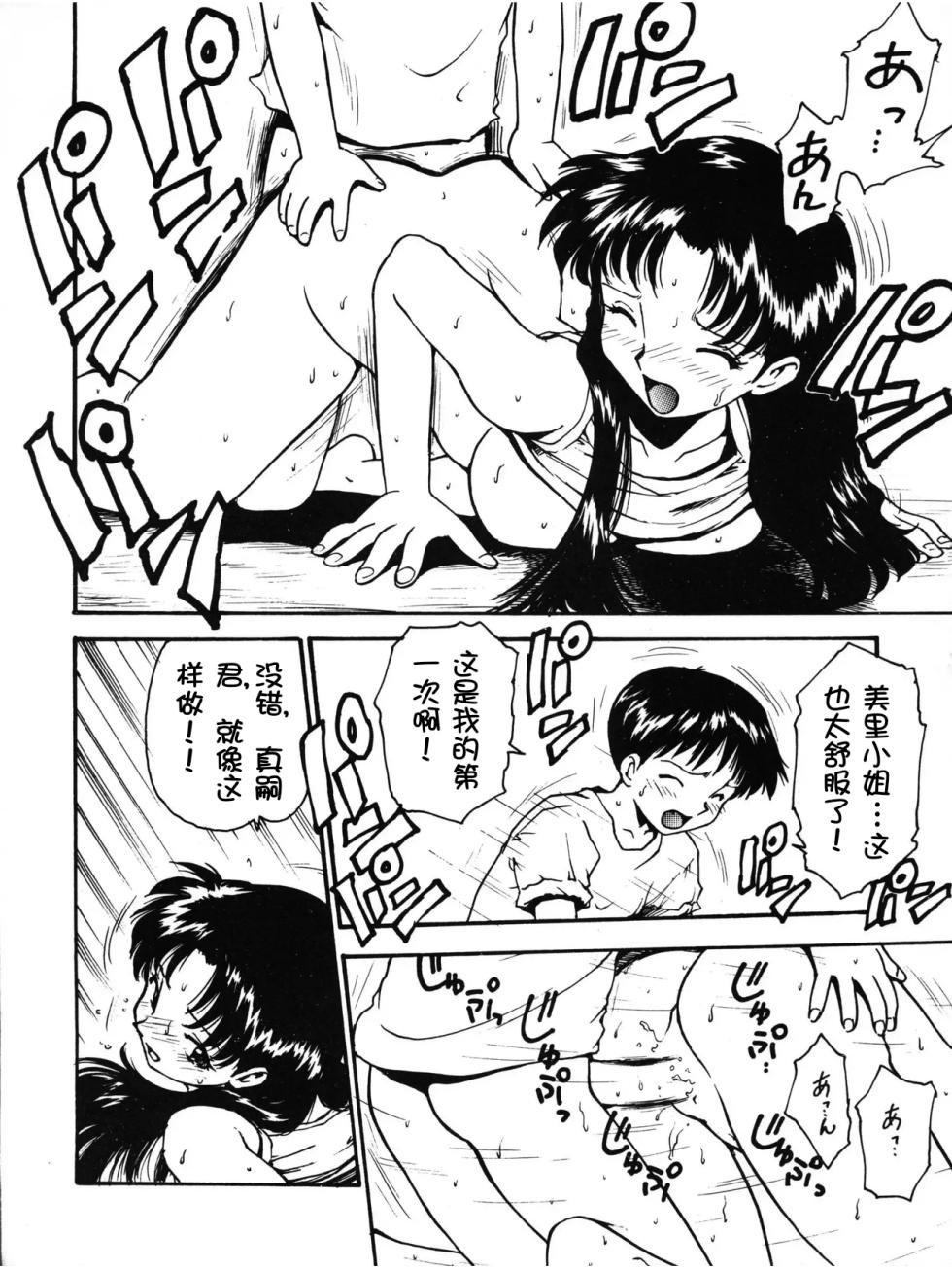 [Karmaya (Karma Tatsurou)] Karma II (Neon Genesis Evangelion) [Chinese] [壹隻小白个人汉化] - Page 11