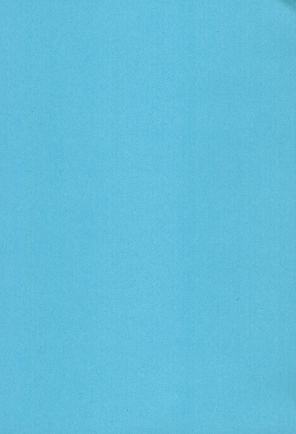 (Kansai Kemoket 9) [Night Walk F (Canned Tuna)] 3-Nen-me no puropouzu｜第3年的求婚仪式 [Chinese] [酥米饼个人汉化] - Page 3