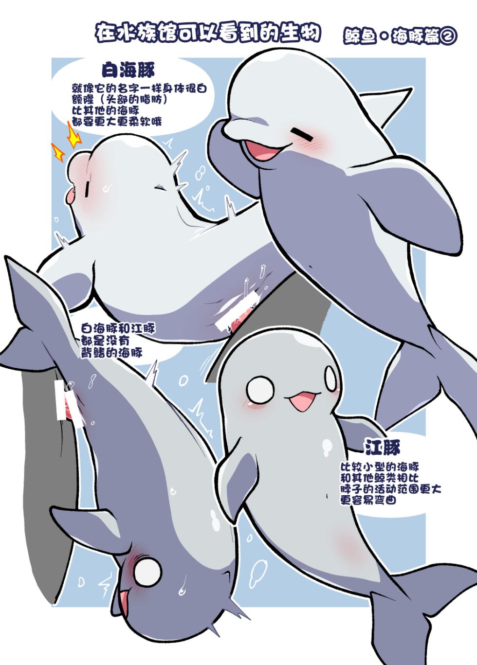 [Ika Guerrilla (Kageyama)] Dokidoki Suizokukan | 心跳不已水族奸 [Chinese] [ZX个人汉化] [Digital] - Page 11