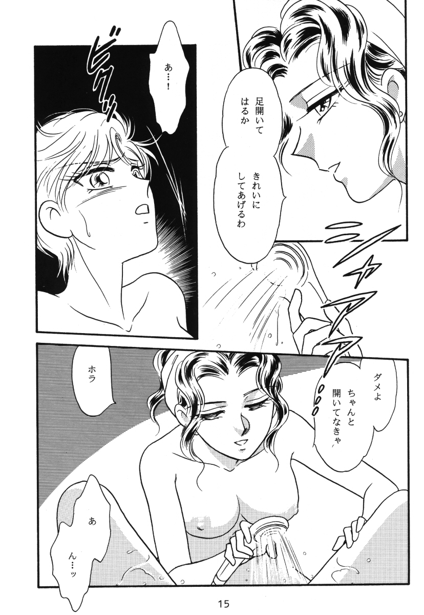 [Funky Dragon (Koyoihara Mary)] Starlight (Bishoujo Senshi Sailor Moon) - Page 14