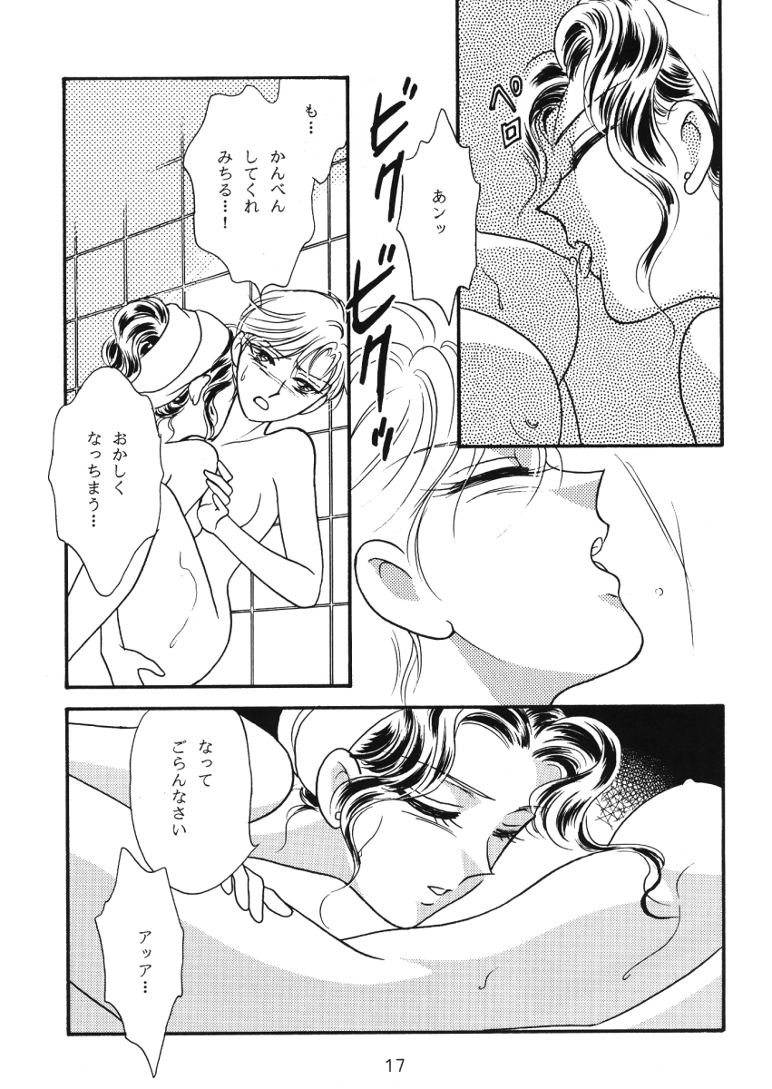 [Funky Dragon (Koyoihara Mary)] Starlight (Bishoujo Senshi Sailor Moon) - Page 16