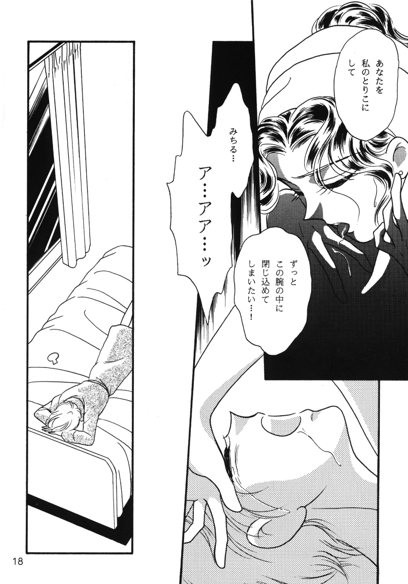 [Funky Dragon (Koyoihara Mary)] Starlight (Bishoujo Senshi Sailor Moon) - Page 17