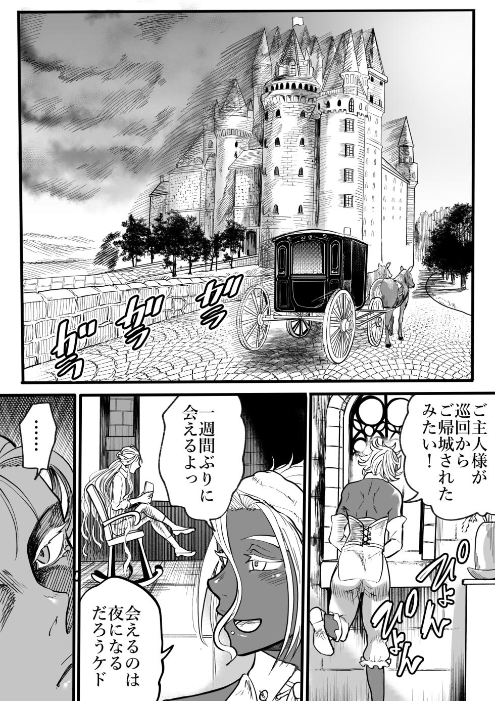 [Entaku Seisouin] Tsundere Elf to Dark Elf to no 3P - Page 2