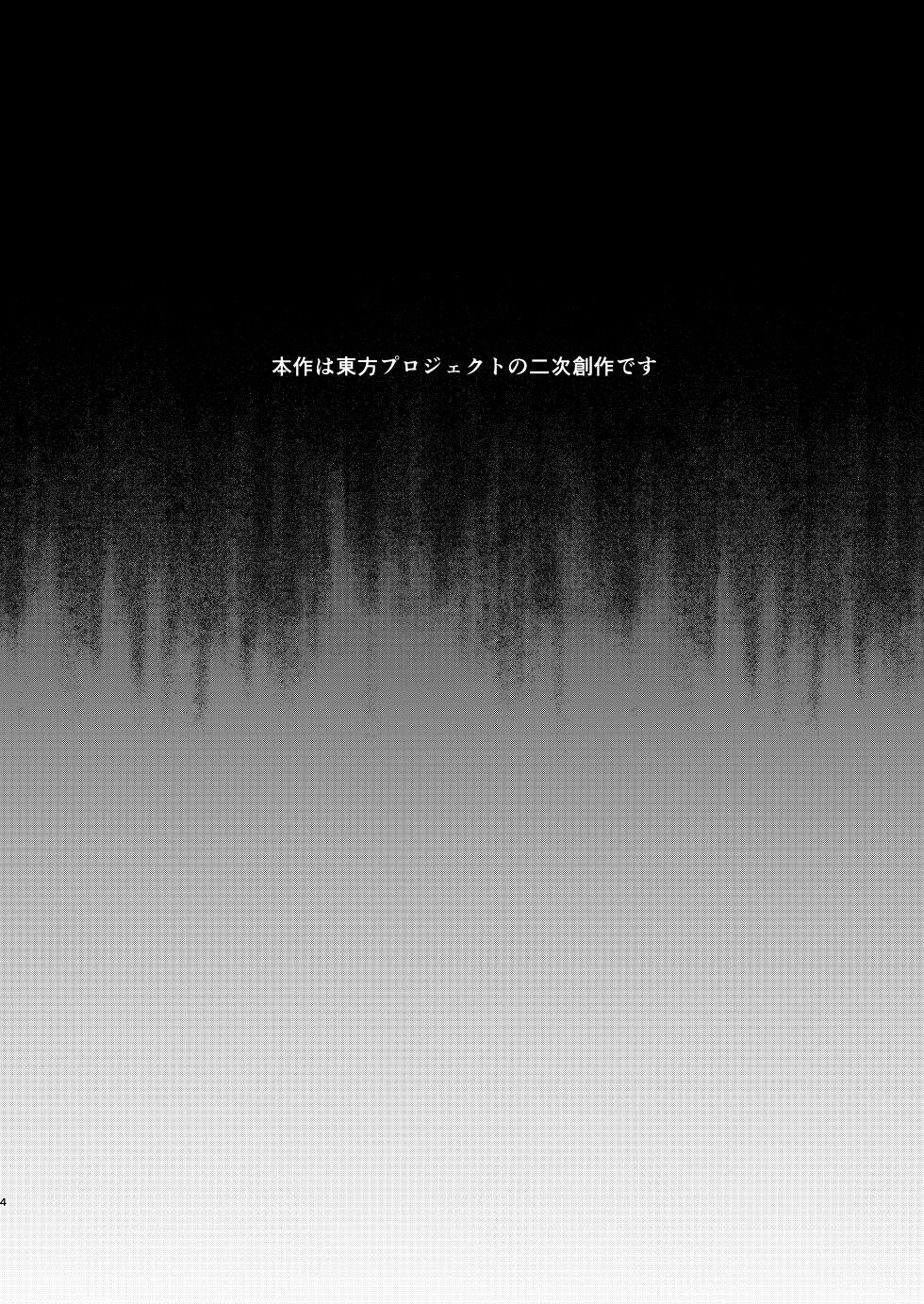 [Cross Country. (Kurokan)] Iizunamaru no Sekinin desu (Touhou Project) [Digital] - Page 4