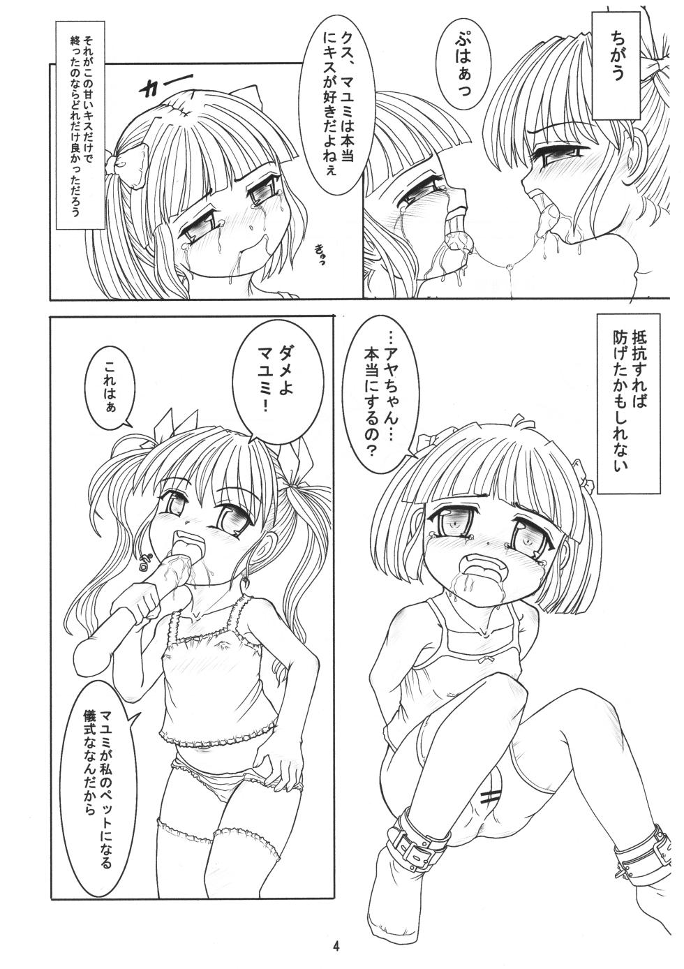 [Nekoneko Panchu!] Goshujin-sama no Kimochi Petto no Kimochi - Page 3