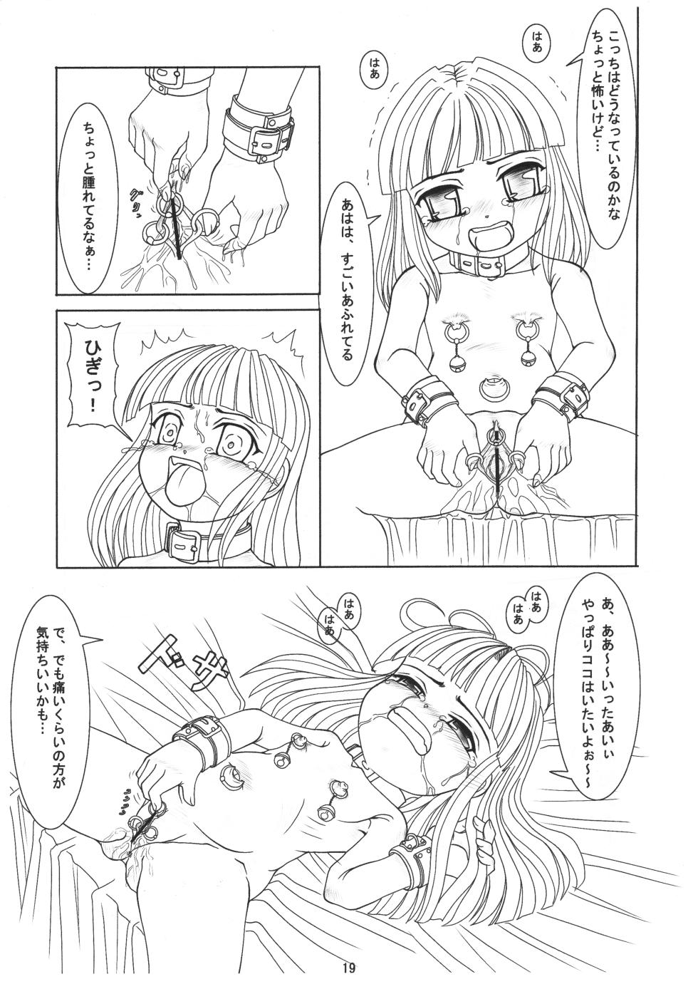 [Nekoneko Panchu!] Goshujin-sama no Kimochi Petto no Kimochi - Page 18