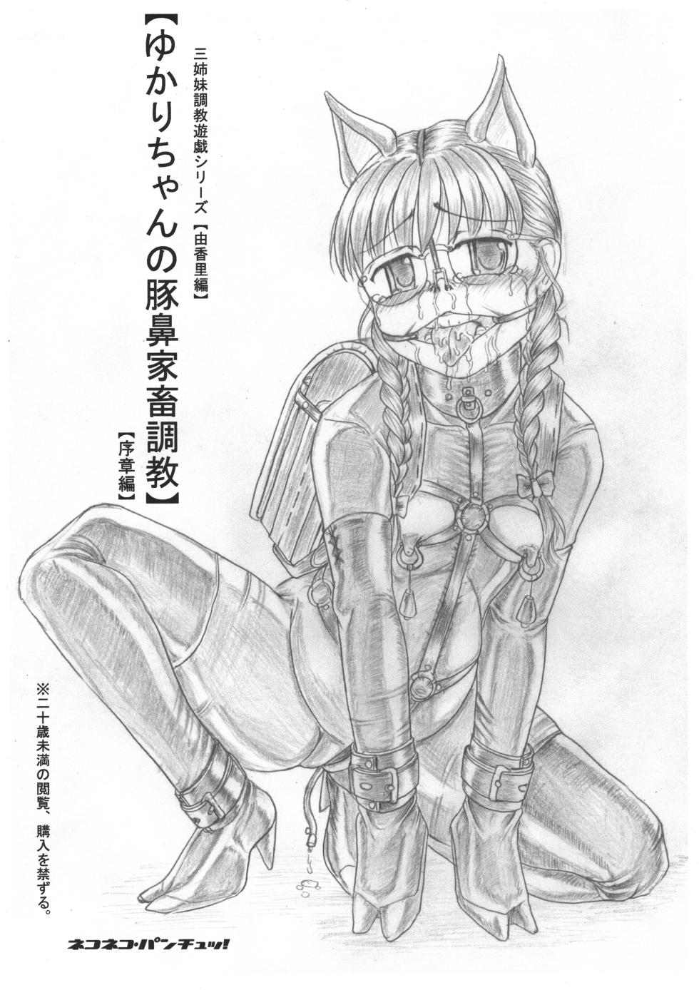 [Nekoneko Panchu!] Yukari-chan no Butabana Kachiku Choukyou Joshou-hen Sanshimai Choukyou Yuugi Shiirizu Yukari-hen - Page 1