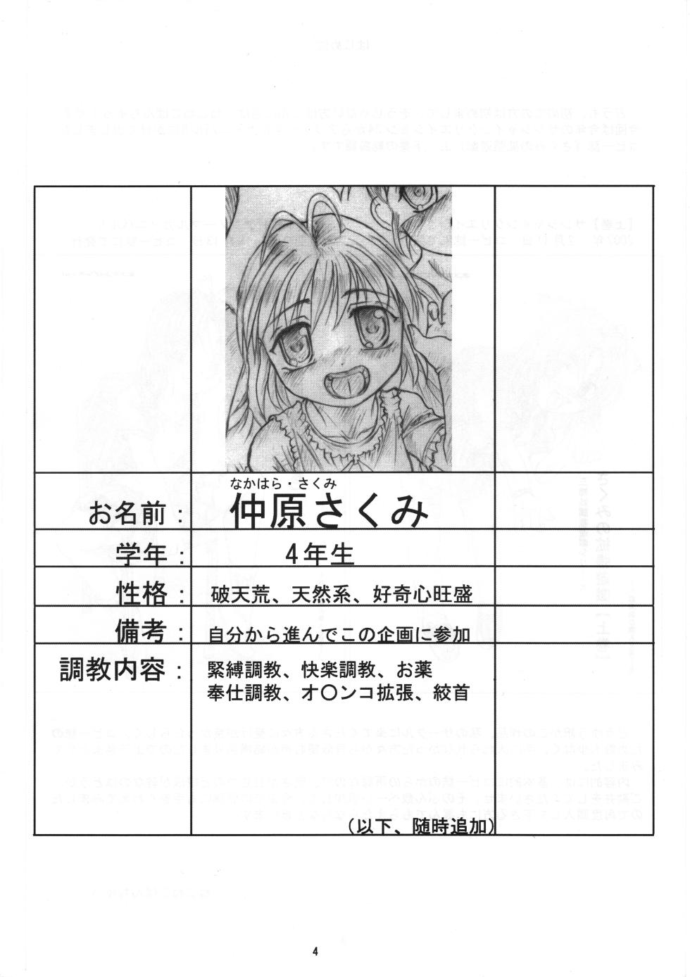 [Nekoneko Panchu!] Sakumi no Kakuchou Yuugi Soushuuhen - Page 3