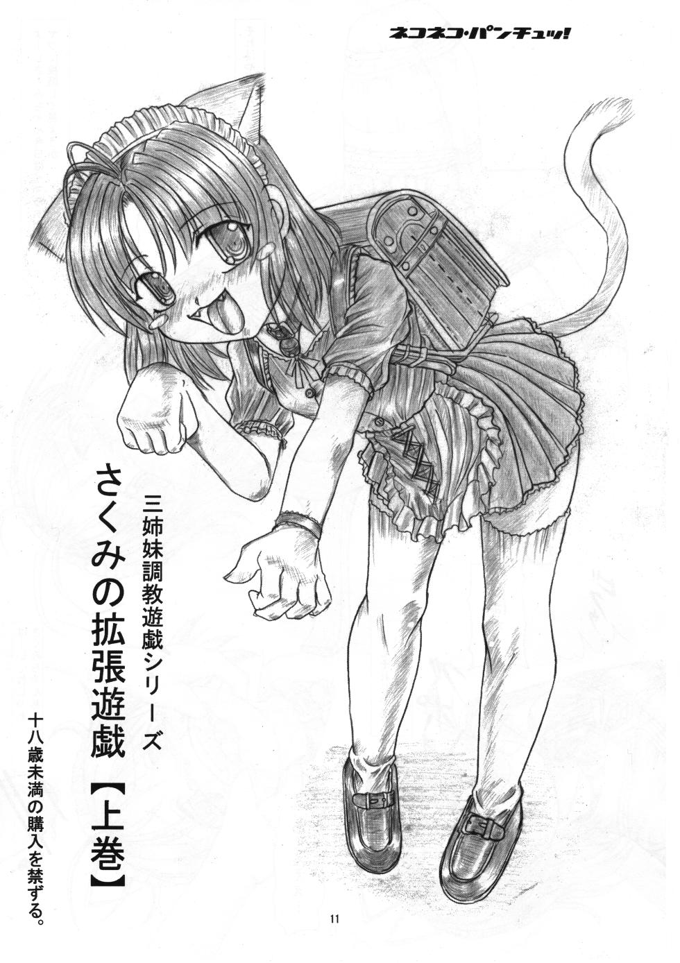 [Nekoneko Panchu!] Sakumi no Kakuchou Yuugi Soushuuhen - Page 10