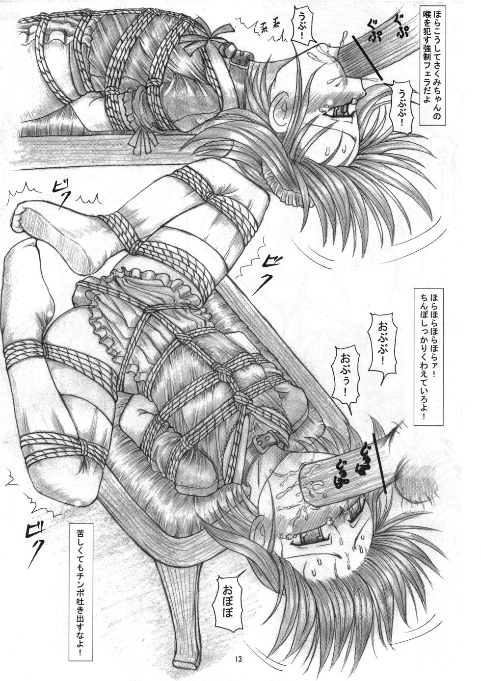 [Nekoneko Panchu!] Sakumi no Kakuchou Yuugi Soushuuhen - Page 12