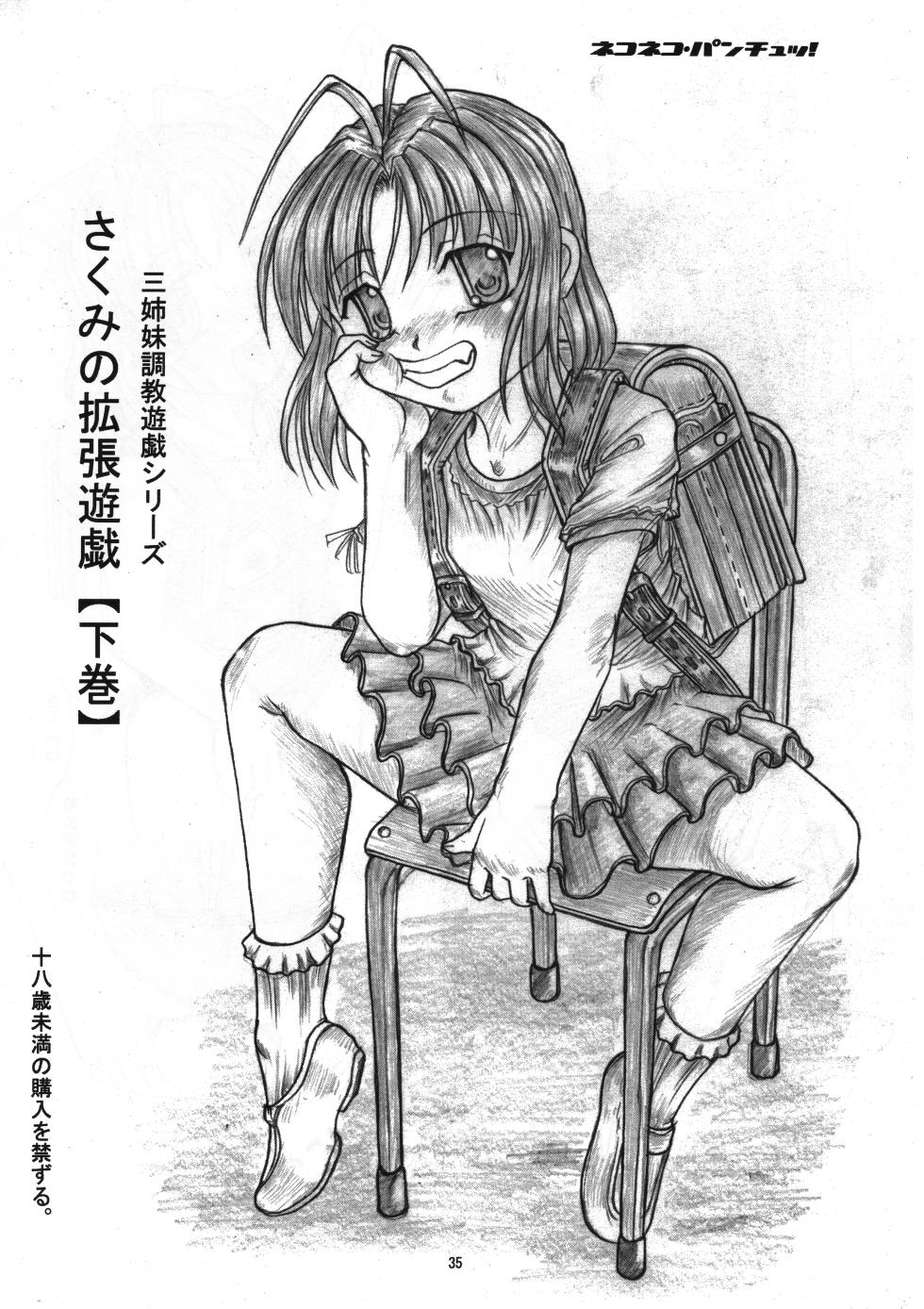 [Nekoneko Panchu!] Sakumi no Kakuchou Yuugi Soushuuhen - Page 34