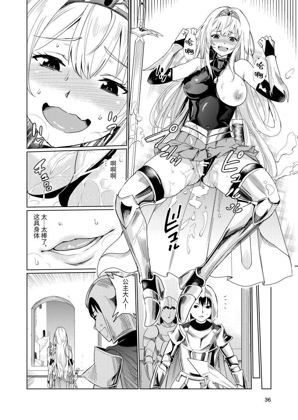[Raid Socks (Tricky)] Kyouran no Toubatsu Hime Daria [Chinese] - Page 35