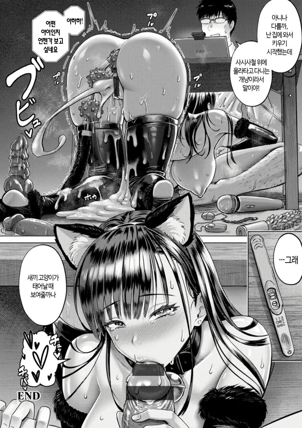 [Iketatsu Shizuru] PUSSY SLAVE 〜Midarana Niku Dorei〜 | PUSSY SLAVE 〜음란한 육노예〜 [Korean] [Digital] - Page 26