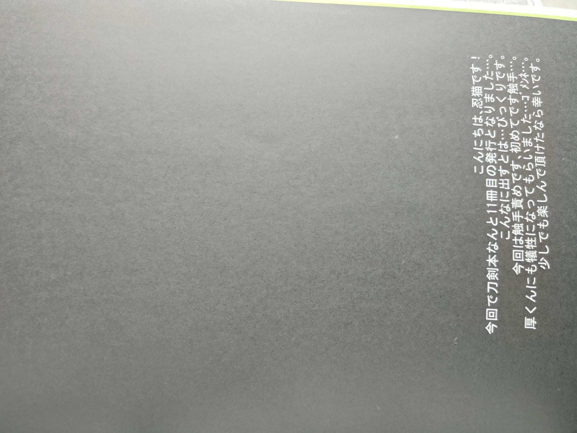 yakō dōchū / nin neko / Lovely complex - Page 3