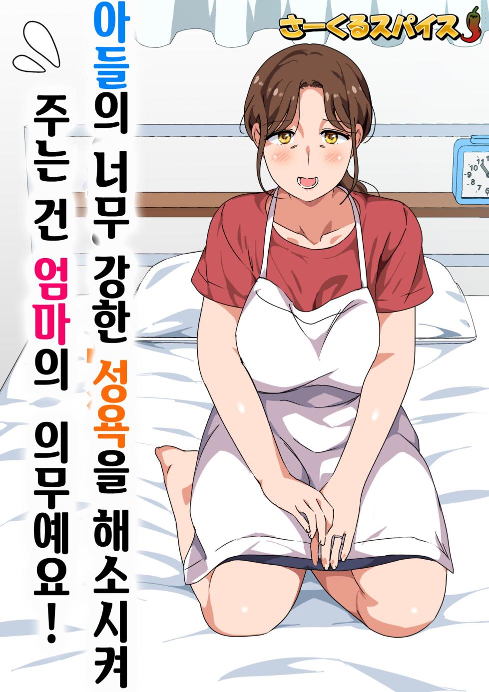 [Circle Spice] Musuko no Tsuyosugiru Seiyoku wo Kaishou Suru no wa Haha no Tsutome desu | 아들의 너무 강한 성욕을 해소시켜 주는 건 엄마의 의무예요! [Korean] - Page 2