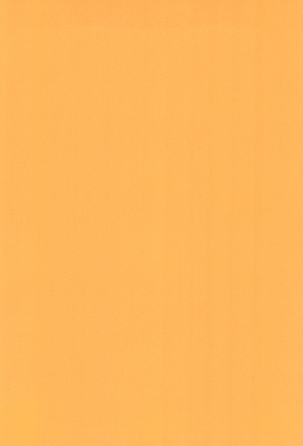 (ShotaFes 17) [Article 60 of Criminal Code (Shuhan)] Nee Gohan-san Micro Bikini Suki desu ka? | Hey Gohan, Do You Like Microbikinis? (Dragon Ball Z) [English] {Chin²} - Page 4