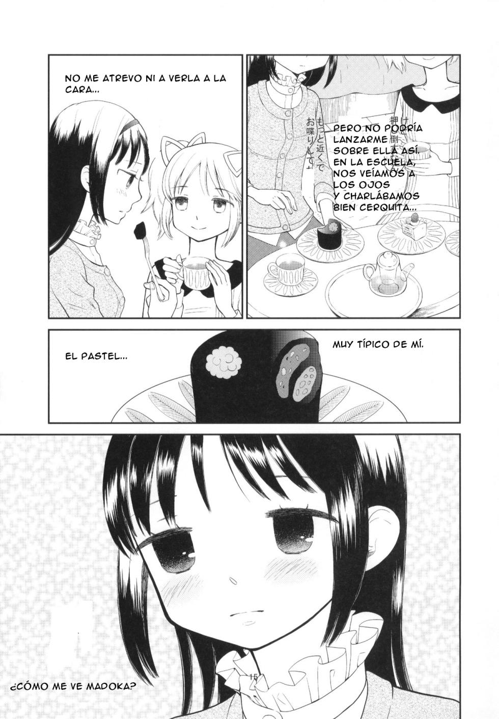 (C91) [Gyakugire Deka (Hakamada Mera)] Kyuutenkai Sugite Shinu Kamo (Puella Magi Madoka Magica) [Spanish] [CristoferDeLosAndes] - Page 19