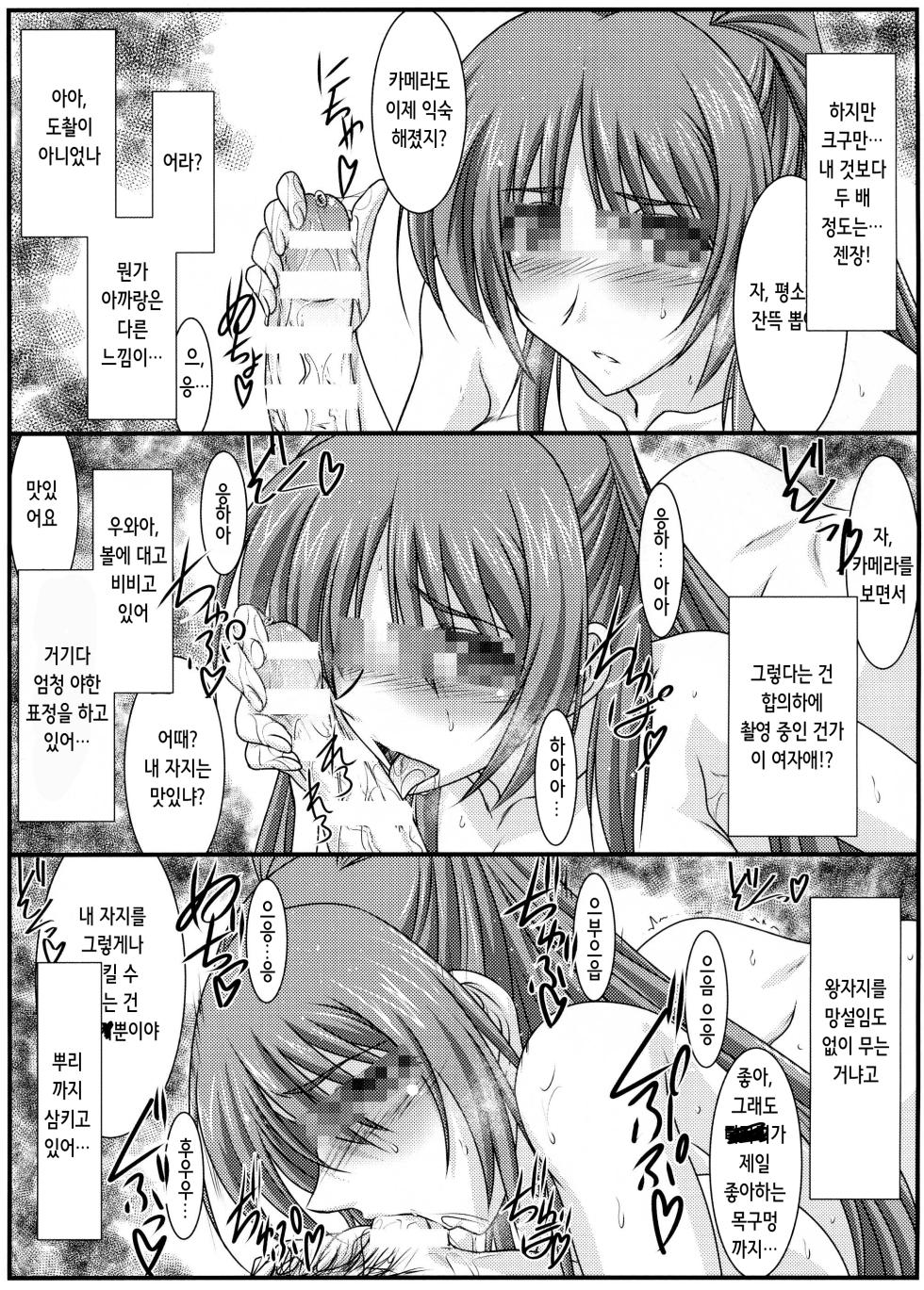 (C88) [STUDIO TRIUMPH (Mutou Keiji)] Astral Bout Ver.31 (ToHeart2) [Korean] - Page 9