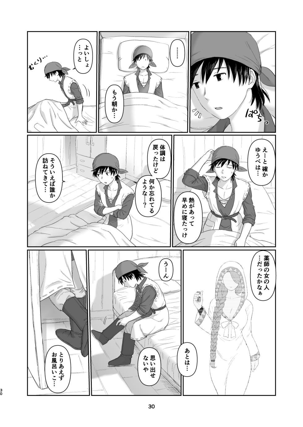 [Nezumichiru] Witch Lady-san ni Sinuhodo Aisareru Hon 2  (Dragon Quest VIII) - Page 29