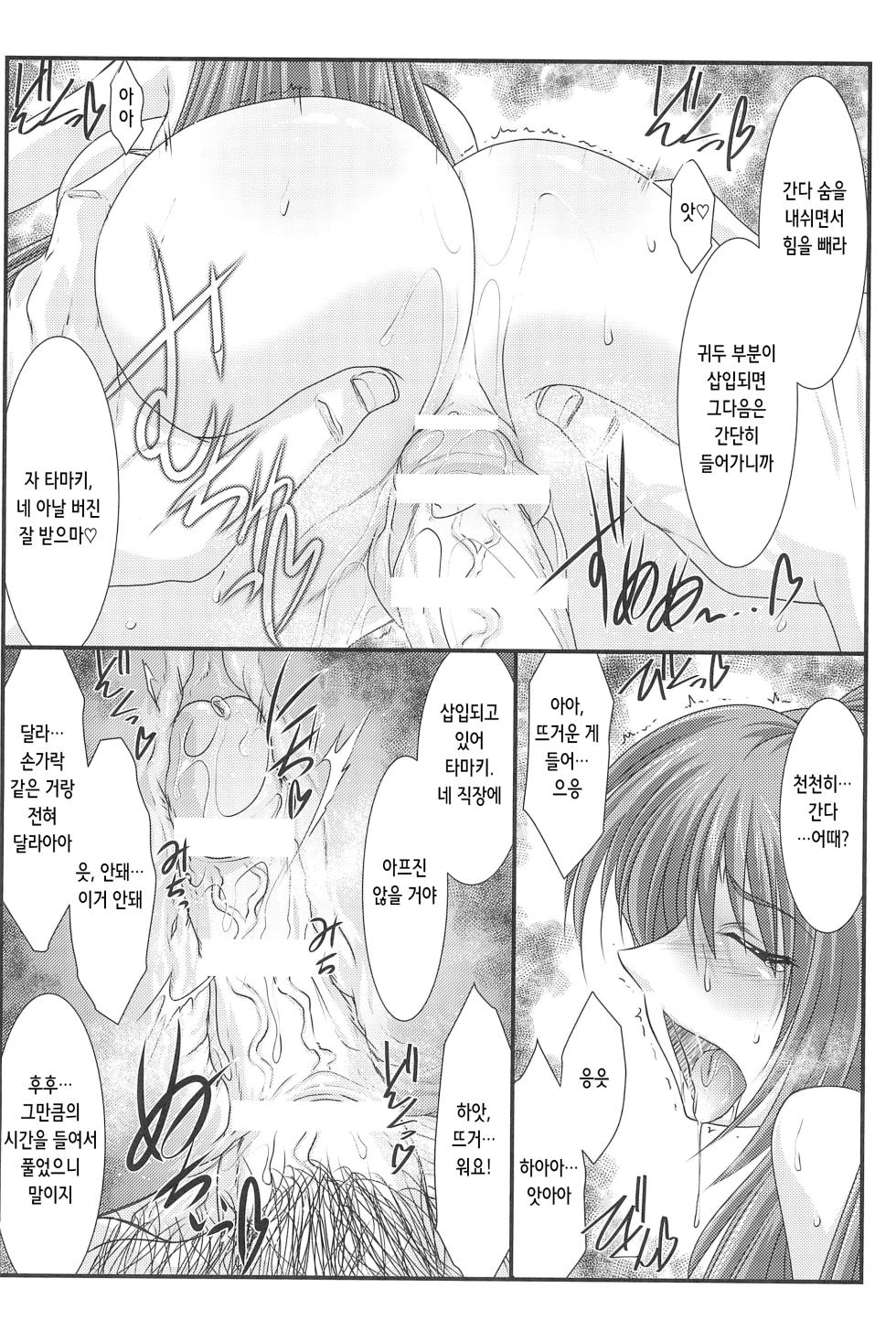 (C90) [STUDIO TRIUMPH (Mutou Keiji)] Astral Bout Ver.33 (To Heart 2) [Korean] - Page 12