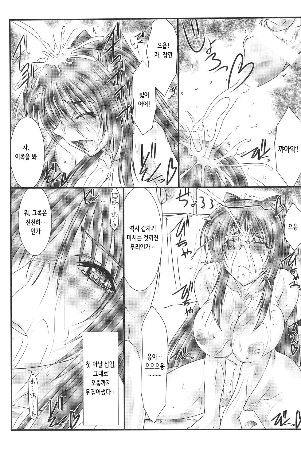 (C90) [STUDIO TRIUMPH (Mutou Keiji)] Astral Bout Ver.33 (To Heart 2) [Korean] - Page 23