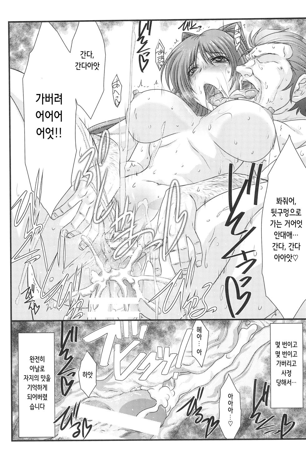 (C90) [STUDIO TRIUMPH (Mutou Keiji)] Astral Bout Ver.33 (To Heart 2) [Korean] - Page 27