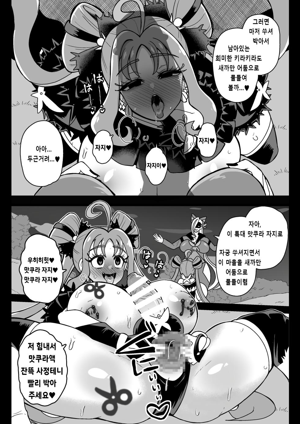 [Akuochisukii Kyoushitsu (Akuochisukii Sensei)] Anankiki -4-gatsu 22-nichi gogo 15-ji-  | 암암위기 -4월 22일 오후 15시- (Kimi to Idol PreCure) [Korean] [Digital] - Page 25