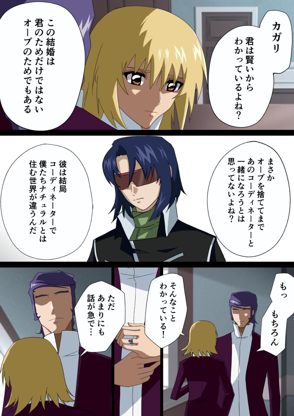 [サソリ座]消えゆく篝火 (機動戦士ガンダムSEED DESTINY) - Page 3