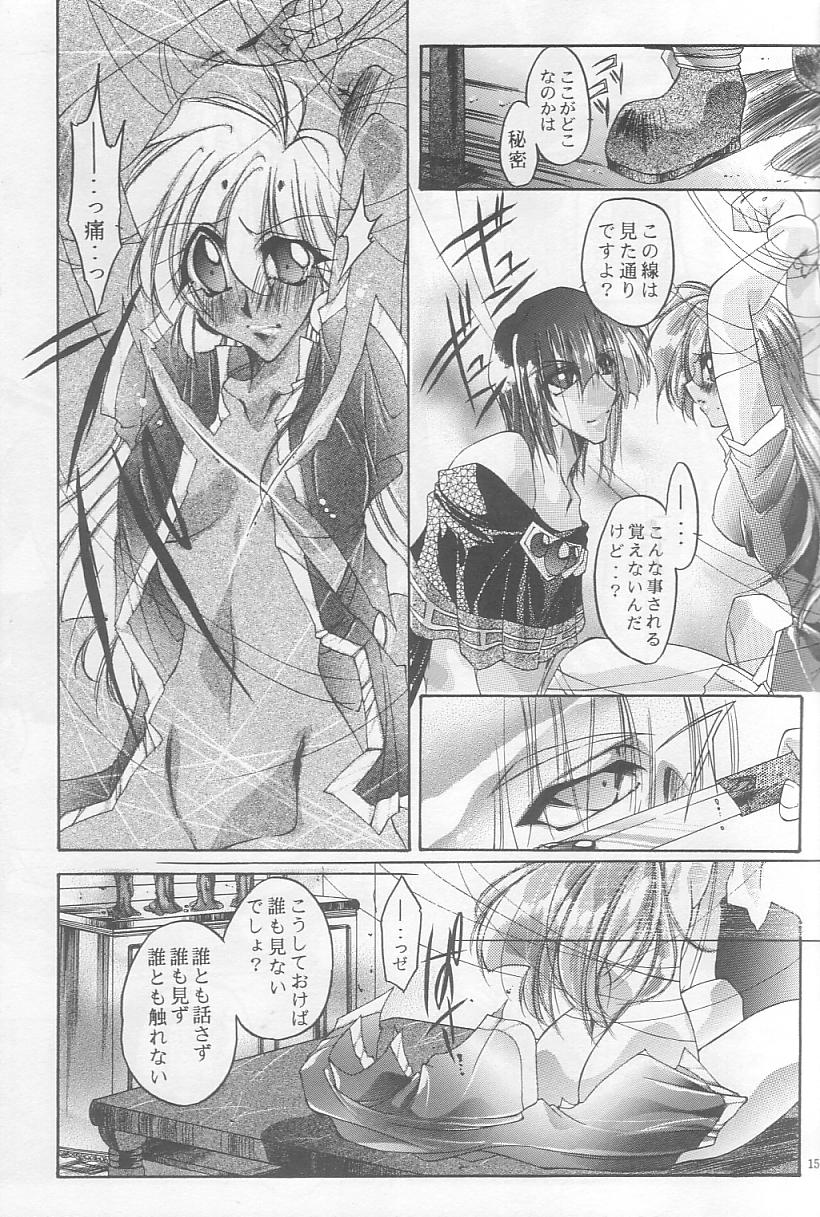 [Himuro DOLL (Narumi*Reimu)] Velvet Moon (Slayers) - Page 12