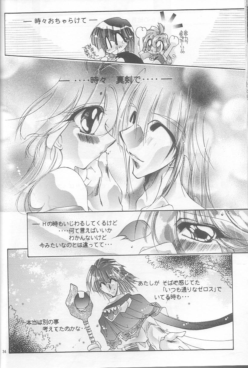 [Himuro DOLL (Narumi*Reimu)] Velvet Moon (Slayers) - Page 31