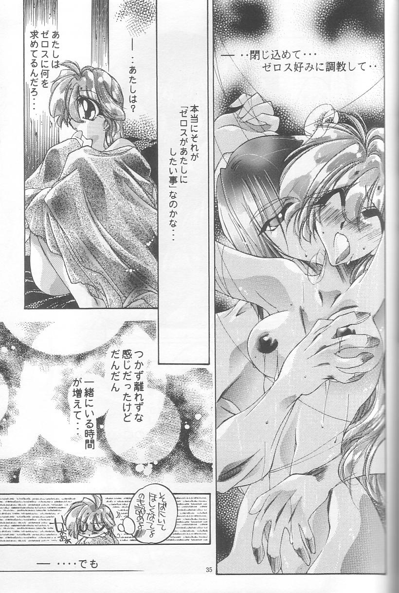 [Himuro DOLL (Narumi*Reimu)] Velvet Moon (Slayers) - Page 32