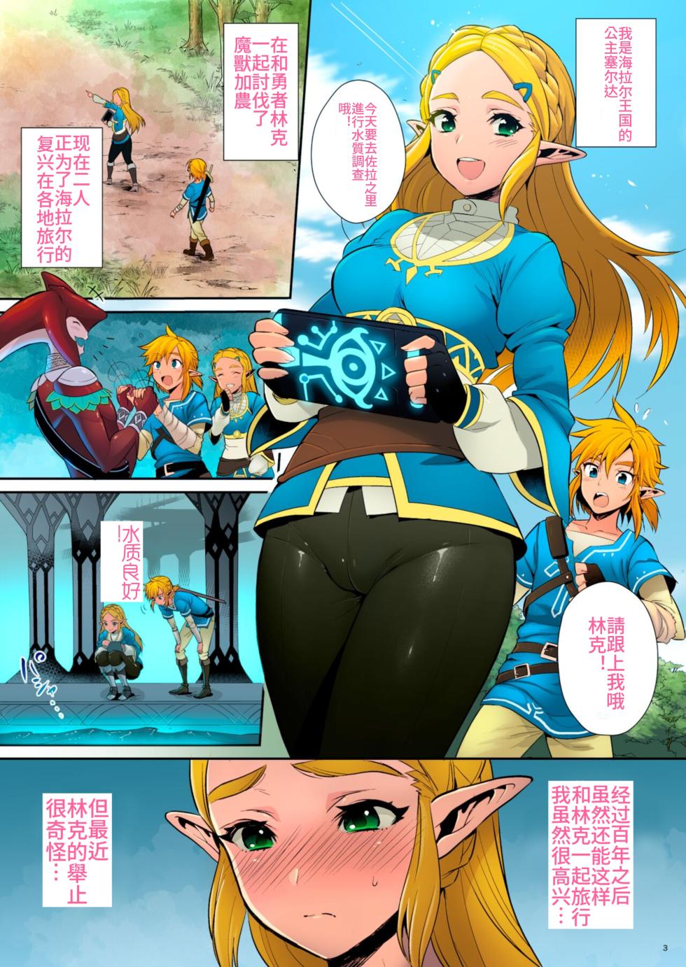 [Morittokoke (Morikoke)] Hyrule Hanei no Tame no Katsudou! (The Legend of Zelda: Breath of the Wild)  [Chinese] [overlordwzh个人渣翻] [Decensored] [Colorized] [Digital] - Page 2