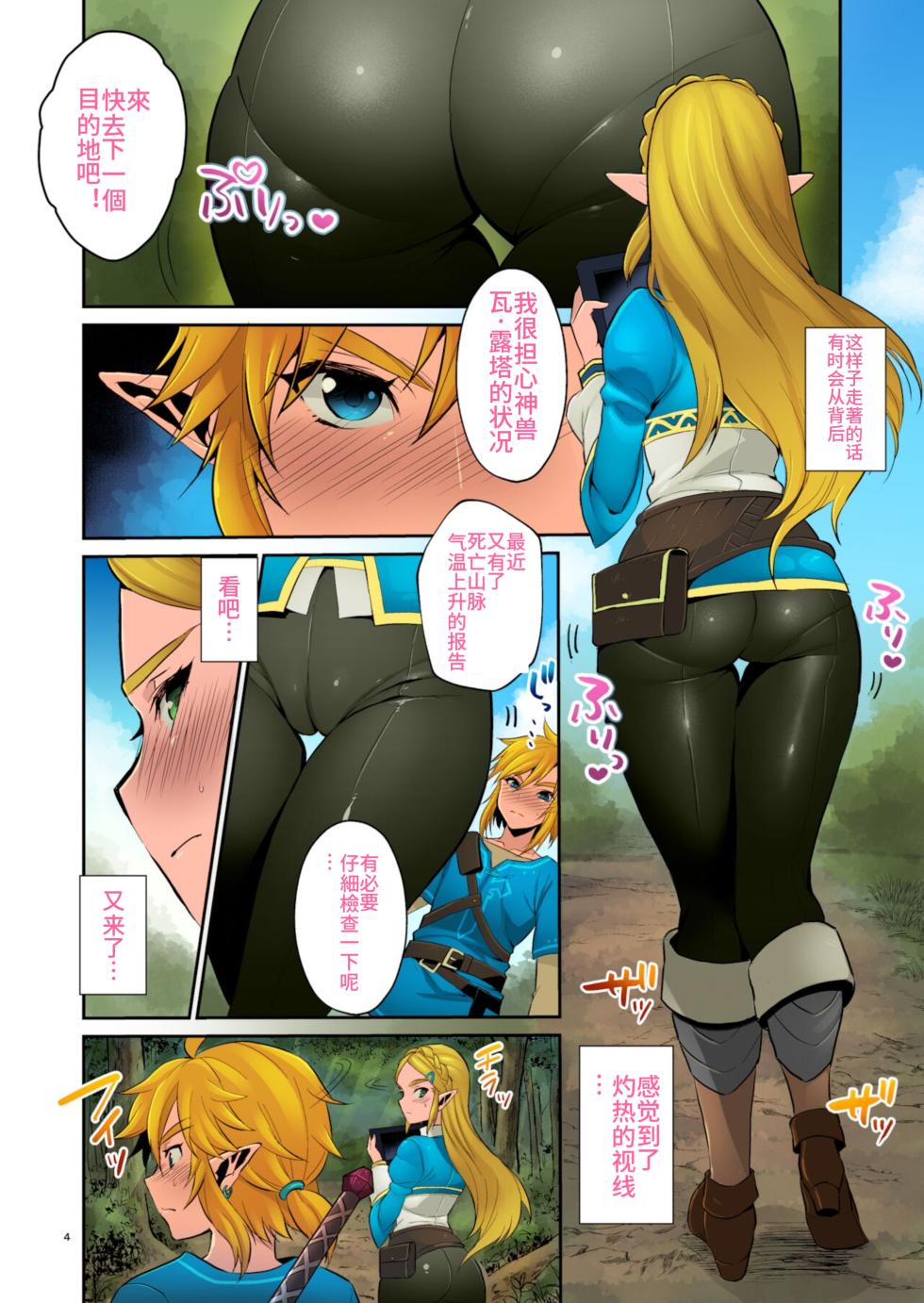[Morittokoke (Morikoke)] Hyrule Hanei no Tame no Katsudou! (The Legend of Zelda: Breath of the Wild)  [Chinese] [overlordwzh个人渣翻] [Decensored] [Colorized] [Digital] - Page 3