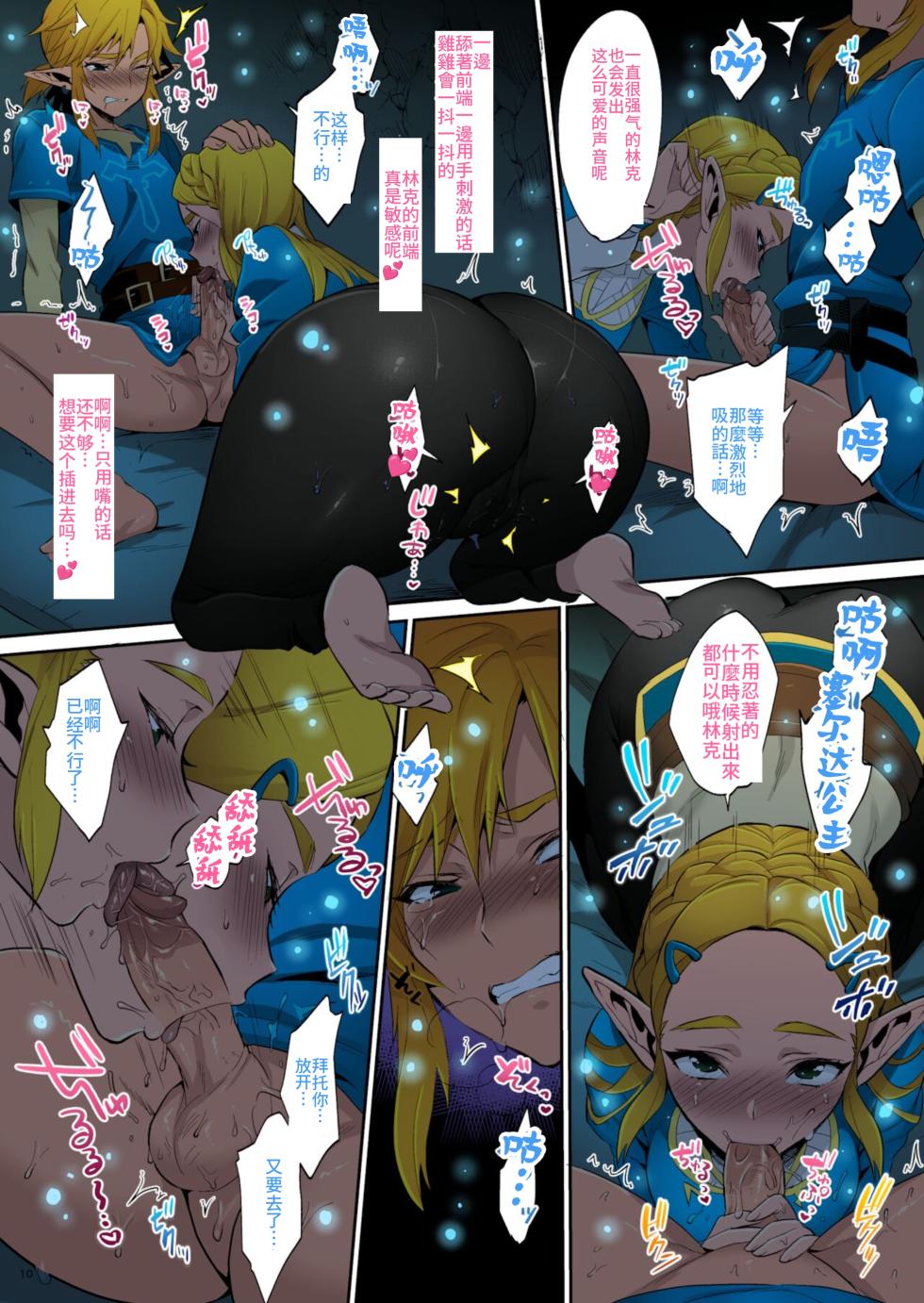[Morittokoke (Morikoke)] Hyrule Hanei no Tame no Katsudou! (The Legend of Zelda: Breath of the Wild)  [Chinese] [overlordwzh个人渣翻] [Decensored] [Colorized] [Digital] - Page 9