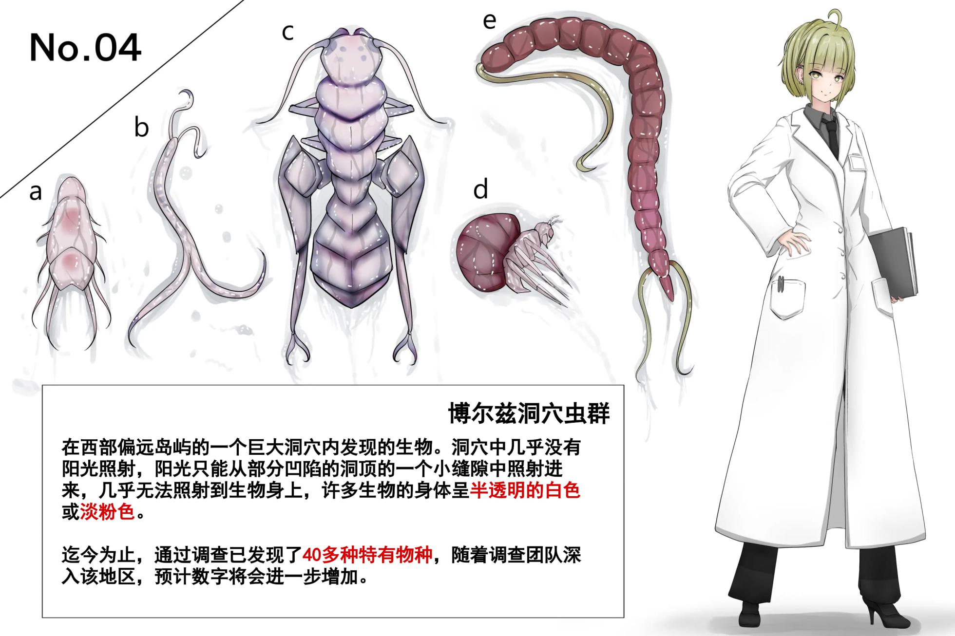 蟲研究レポート_ Character profile+No.01-25,27 [Chinese] [孤独的蛇个人汉化] - Page 22